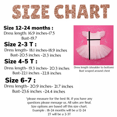 Barbie birthday costume tutu leotard dress